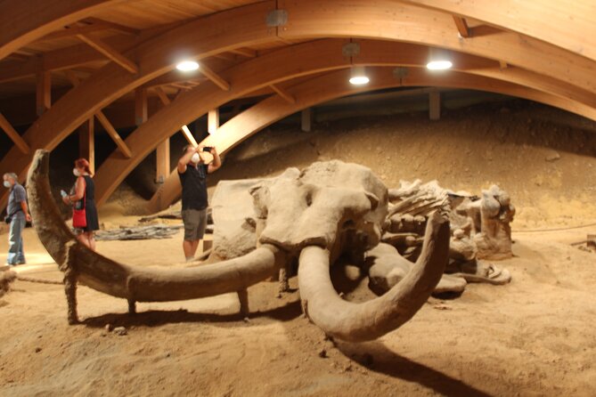 Private Day Tour to Viminacium and Smederevo Fortress - History of Smederevo Fortress