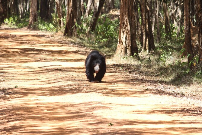 Private Day Tour to Wilpattu National Park. - Exploring Wilpattu National Park