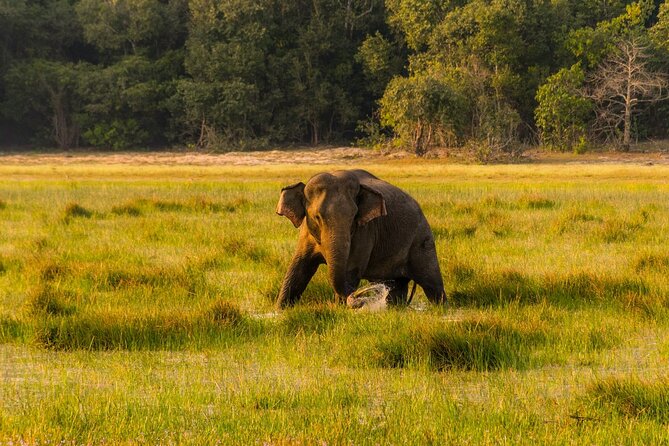 Private Day Tour to Wilpattu National Park. - About the Tour Operator