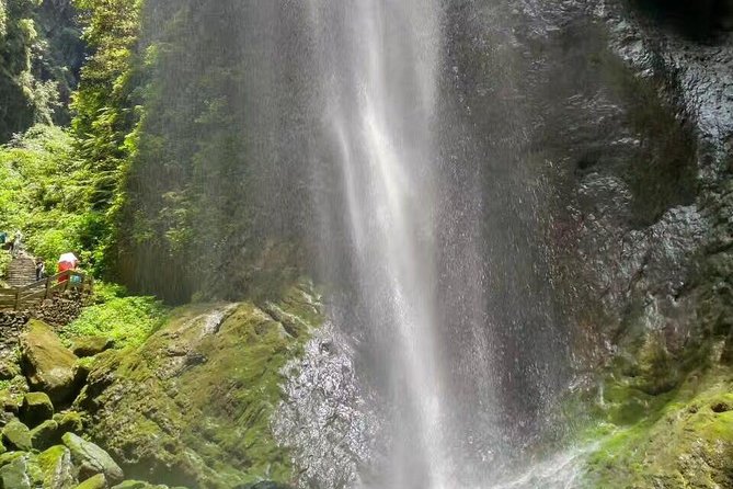 Private Day Tour to Wulong Karst From Chongqing Downtown - Entrance Fees and Gratuities