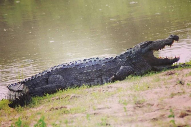 Private Day Tour: Yala National Park Safari Tour From Galle & Weligama - National Park Admission
