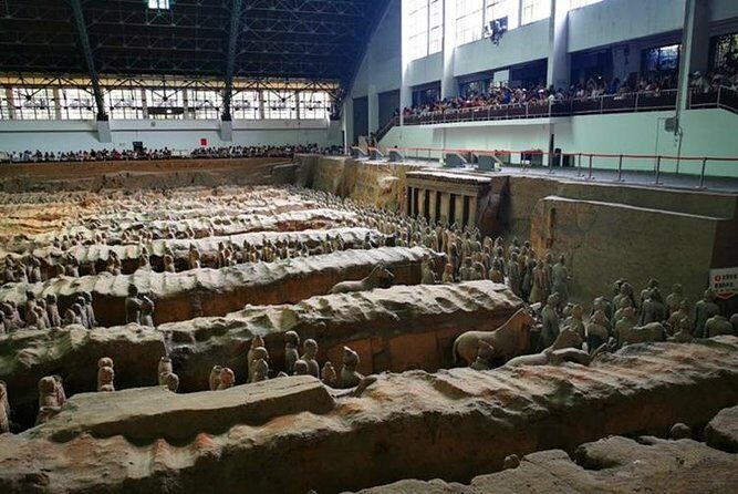 Private Day Tour:Xi'an PandaQI ZAI and Terracotta Warriors Museum - Authenticity and Practicality