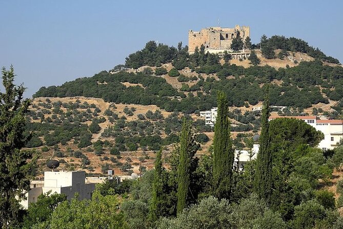 Private Day Trip Amman To Umm Qais Ajloun Castle Jerash Amman - Included Amenities