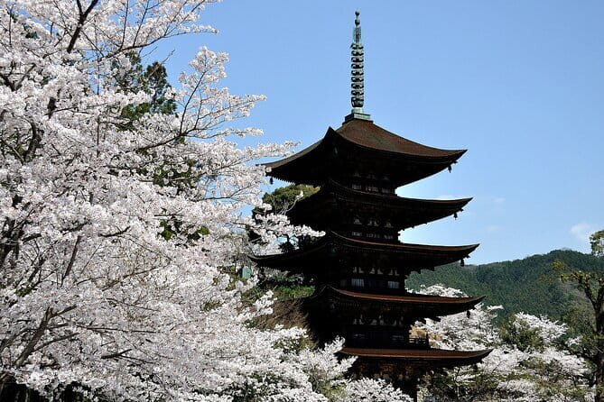 Private Day Trip Around Yamaguchi City From Fukuoka With Minibus - Key Points