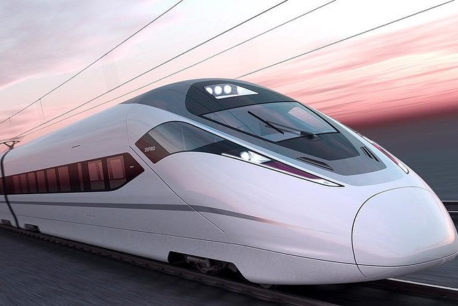 Private Day Trip: Discover Tianjin by Bullet Train From Beijing - Transportation and Logistics