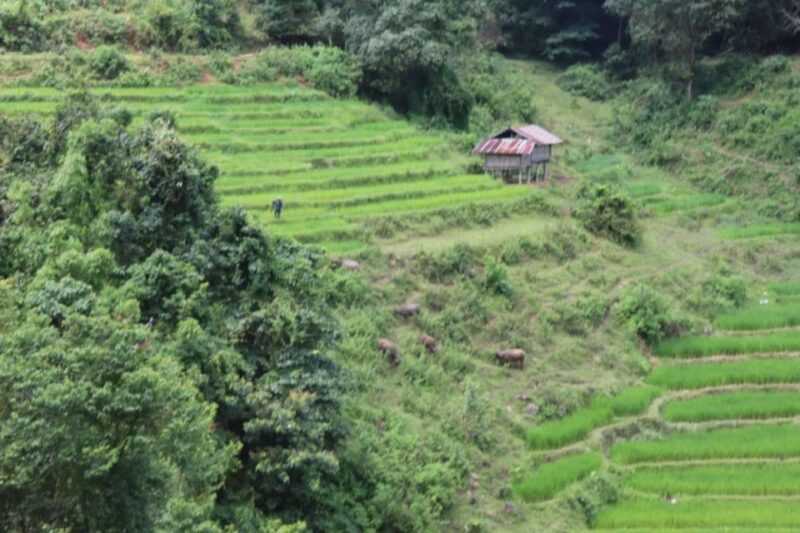 Private Day Trip Doi Inthanon, Trekking, Elephant Santuary - Pricing and Inclusions