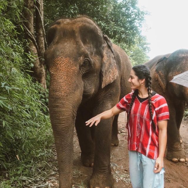 Private Day Trip Doi Inthanon, Trekking, Elephant Santuary - Trekking Doi Inthanon