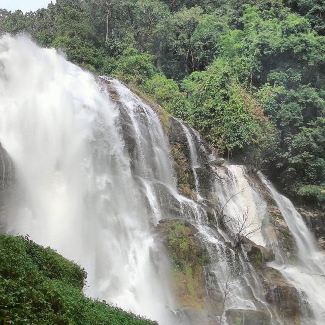 Private Day Trip Doi Inthanon, Trekking, Elephant Santuary - Customer Feedback and Reviews