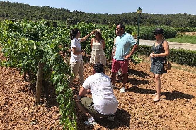 Private Day Trip From Barcelona to Montserrat - Tour Details and Policies