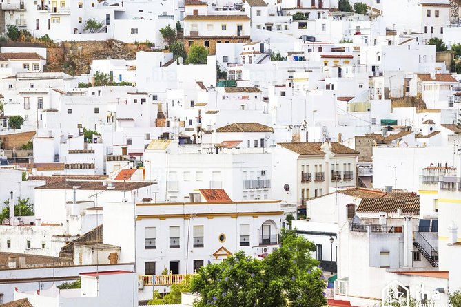 *Private Day Trip* From Cádiz: the White Towns of Andalusia - Cultural Insights and Guidance