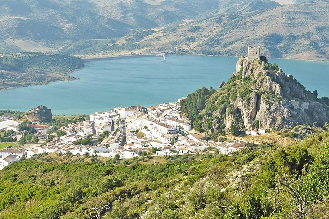 *Private Day Trip* From Cádiz: the White Towns of Andalusia - Customer Feedback and Satisfaction
