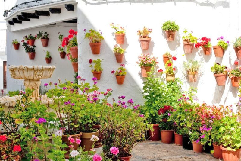Private Day Trip From Cádiz: Vejer De La Frontera & Bolonia - Exploring Vejer De La Frontera