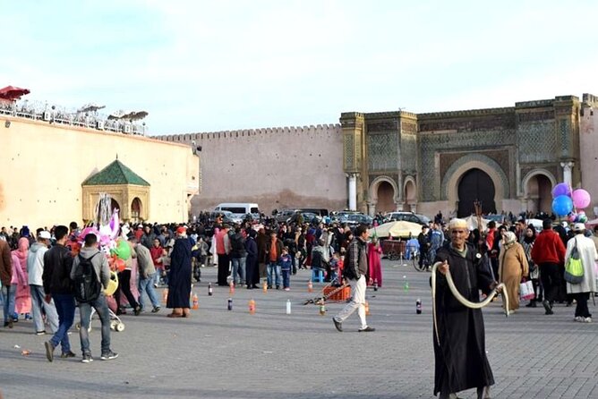 Private Day Trip From Fez to Volubilis and Meknes (Without Shopping) - Private Transportation and Convenience