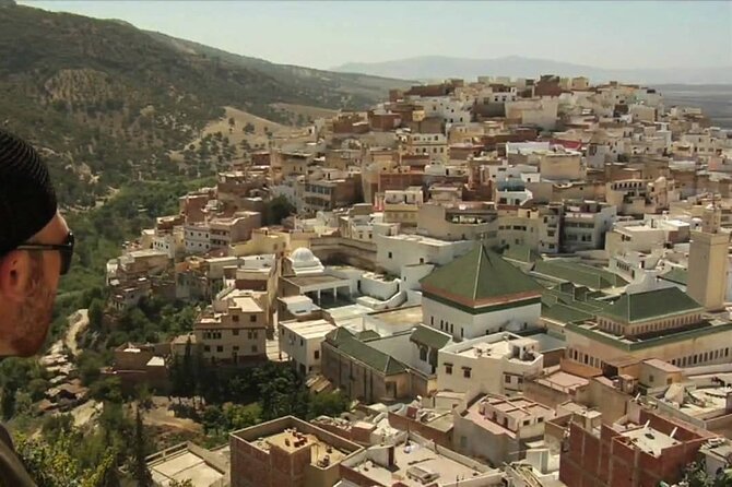 Private Day Trip From Fez to Volubilis and Meknes (Without Shopping) - Enriching Cultural Experience