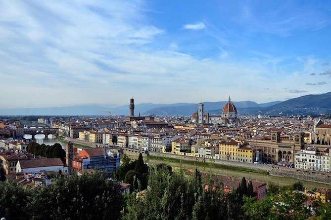 Private Day Trip From Livorno Port to Florence and Pisa - Customization Options