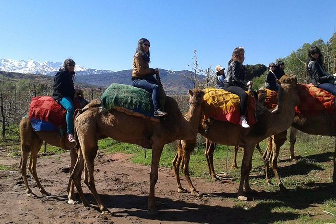 Private Day Trip From Marrakech: Camel Ride and Hike in the High Atlas Mountains - Hiking Through Berber Villages