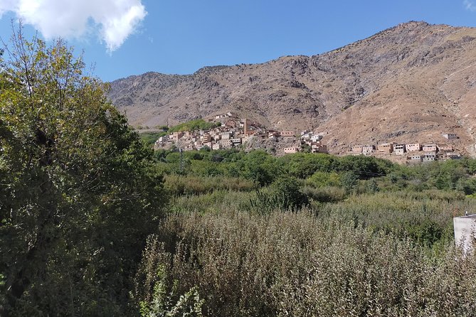 Private Day Trip From Marrakech: Camel Ride and Hike in the High Atlas Mountains - Logistical Details and Requirements