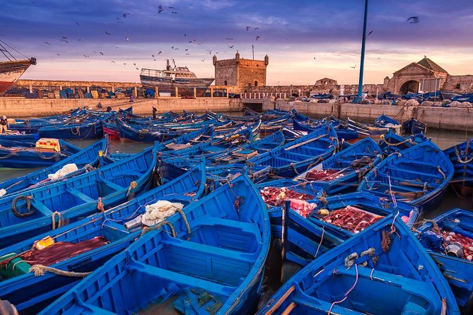 Private Day Trip From Marrakech to Essaouira - Booking Process and Policies