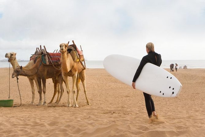 Private Day Trip From Marrakech to Essaouira - Highlights of Essaouira
