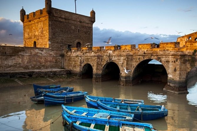 Private Day Trip From Marrakech to Essaouira - Reviews and Customer Experiences