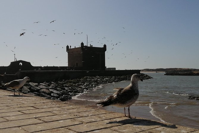 Private Day Trip From Marrakech to Essaouira - Inclusions and Amenities