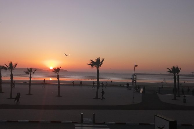 Private Day Trip From Marrakech to Essaouira - Reviews and Experience