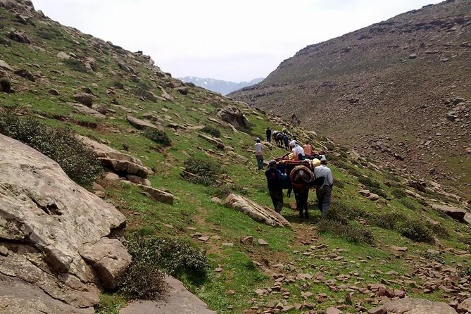 Private Day Trip From Marrakech to Imlil & the Atlas Mountains - Whats Included