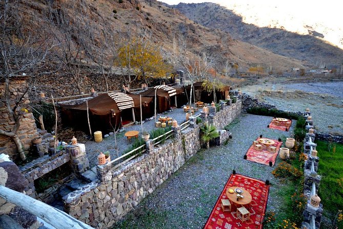 Private Day Trip From Marrakech to Imlil & the Atlas Mountains - Dietary Options