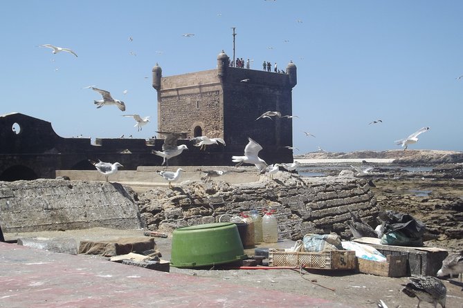 Private Day Trip From Marrakesh to Essaouira Beach and the Fortified Medina - Discovering the Fortified Medina