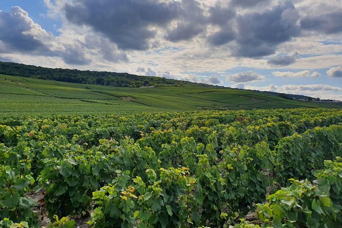 Private Day Trip From Paris to Reims and the Champagne Region - Confirmation and Policies