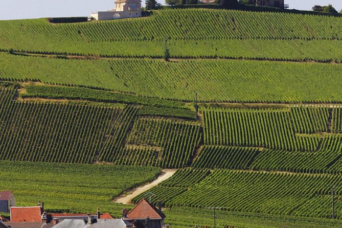 Private Day Trip From Paris to Reims and the Champagne Region - Frequently Asked Questions