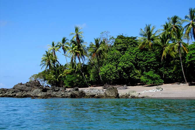 Private Day Trip From San Jose to Cahuita National Park (Caribbean Coast) - Tour Overview
