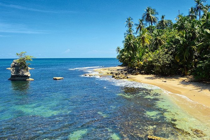 Private Day Trip From San Jose to Cahuita National Park (Caribbean Coast) - Customer Feedback