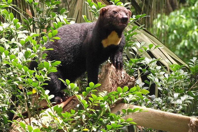 Private Day Trip From San Jose to Cahuita National Park (Caribbean Coast) - Accessibility Information