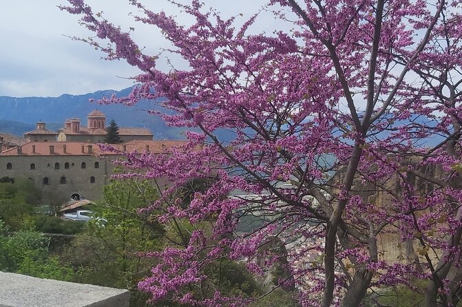 Private Day Trip From Thessaloniki to Meteora - Positive Customer Feedback and Recommendations
