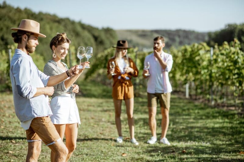 Private Day Trip From Vienna to Lednice, Valtice and Mikulov - Itinerary and Experience