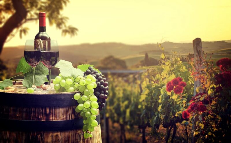 Private Day Trip From Vienna to Lednice, Valtice and Mikulov - Vibrant Wine Culture