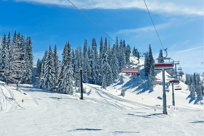 Private Day Trip From Zurich to Lucerne, Engelberg & Mount Titlis - Reviews and Feedback