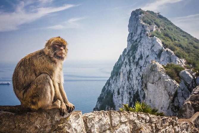 *Private Day Trip* Gibraltar and Vejer From Cádiz - Tour Details and Accessibility