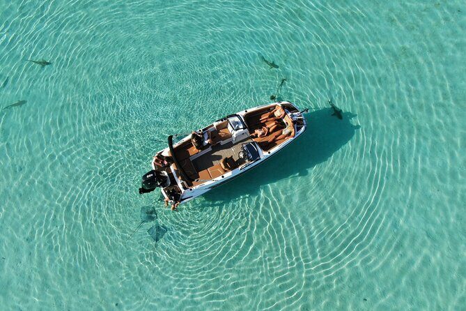 Private Day Trip Hike and Boat in Moorea - The Sum Up