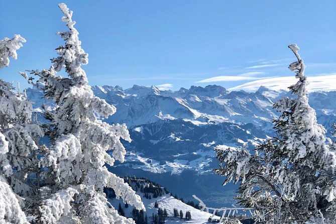 Private Day Trip in the Heart of the ALPS - Jungfrau Region - Health and Accessibility