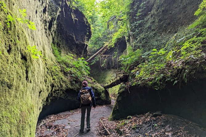 Private Day Trip of Lake Shikotsu and Moss Canyon - Inclusions and Exclusions