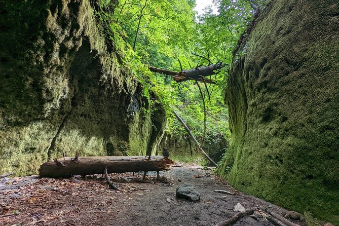 Private Day Trip of Lake Shikotsu and Moss Canyon - Traveler Considerations