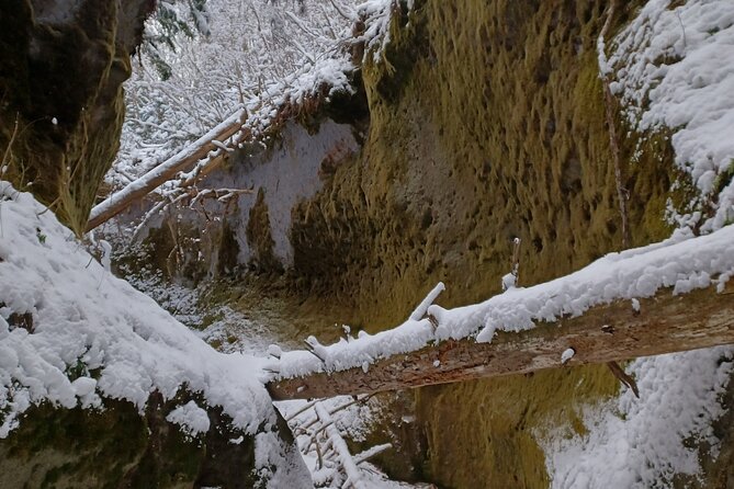 Private Day Trip of Lake Shikotsu and Moss Canyon - Booking and Cancellation
