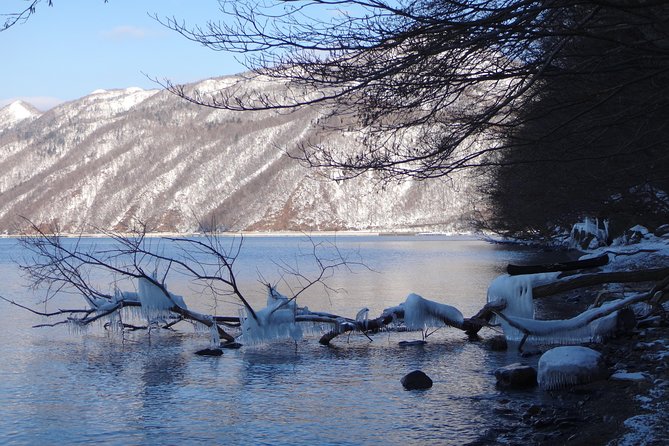 Private Day Trip of Lake Shikotsu and Moss Canyon - Additional Information