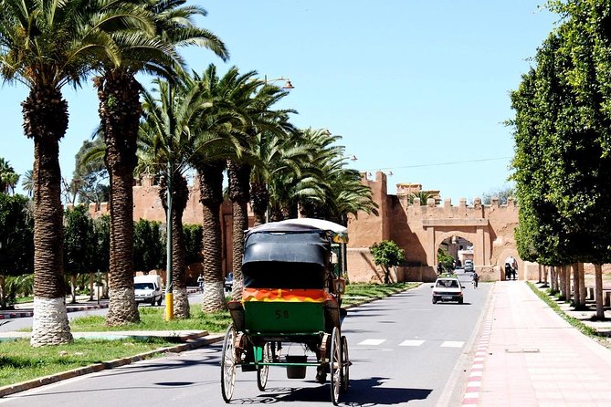 Private Day Trip of Taroudant & Tiout From Agadir - Marveling at Tiouts Picturesque Village
