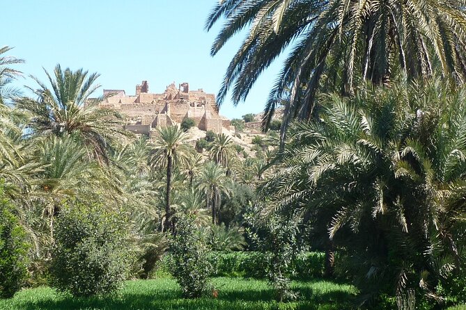 Private Day Trip of Taroudant & Tiout From Agadir - Private Transportation and Comforts