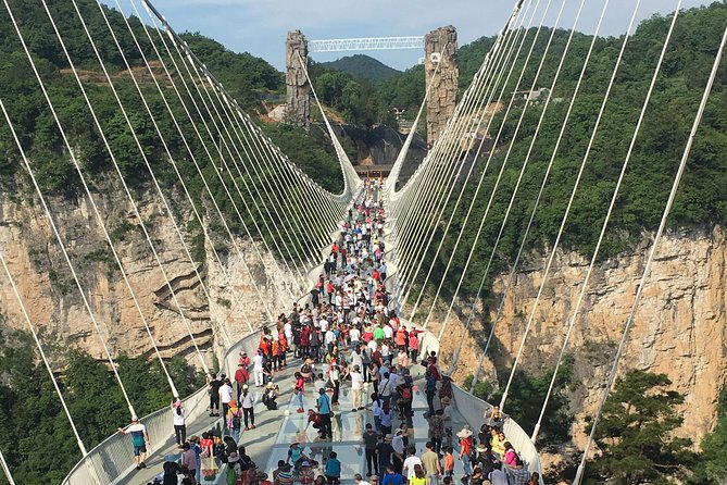 Private Day Trip of Zhangjiajie National Forest Park and Glass Bridge - Inclusions and Pickup Information