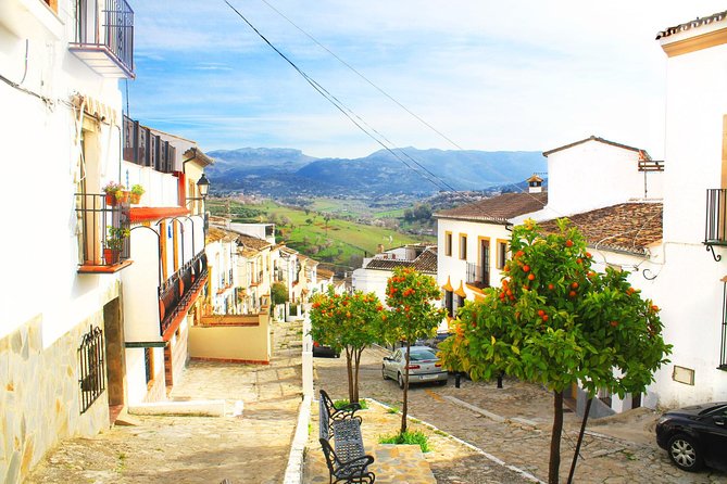 *Private Day Trip* Ronda and Setenil De Las Bodegas From Jerez - Pricing and Cancellation Policy