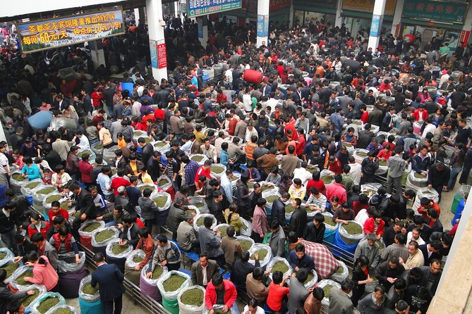 Private Day Trip to Anxi County in Quanzhou From Xiamen - Guide and Transportation